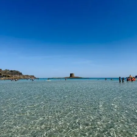 Dolce ستينتينو